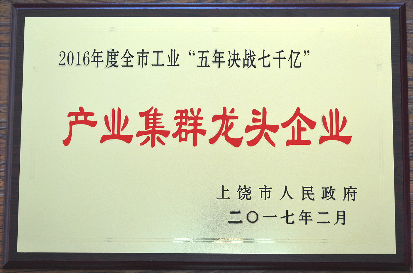 2016年度全市工業“五年決戰七千億”產業集群龍頭企業